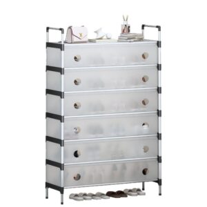 6-Layer Dustproof Shoe Storage Cabinets Detachable Moisture-proof and Rust-proof Shoe Rack Stand for Bedroom, Living Room